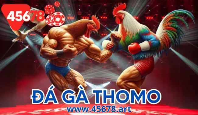 Đá gà Thomo và các trải nghiệm cực hấp dẫn tại 45678